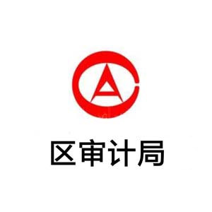 區(qū)審計(jì)局